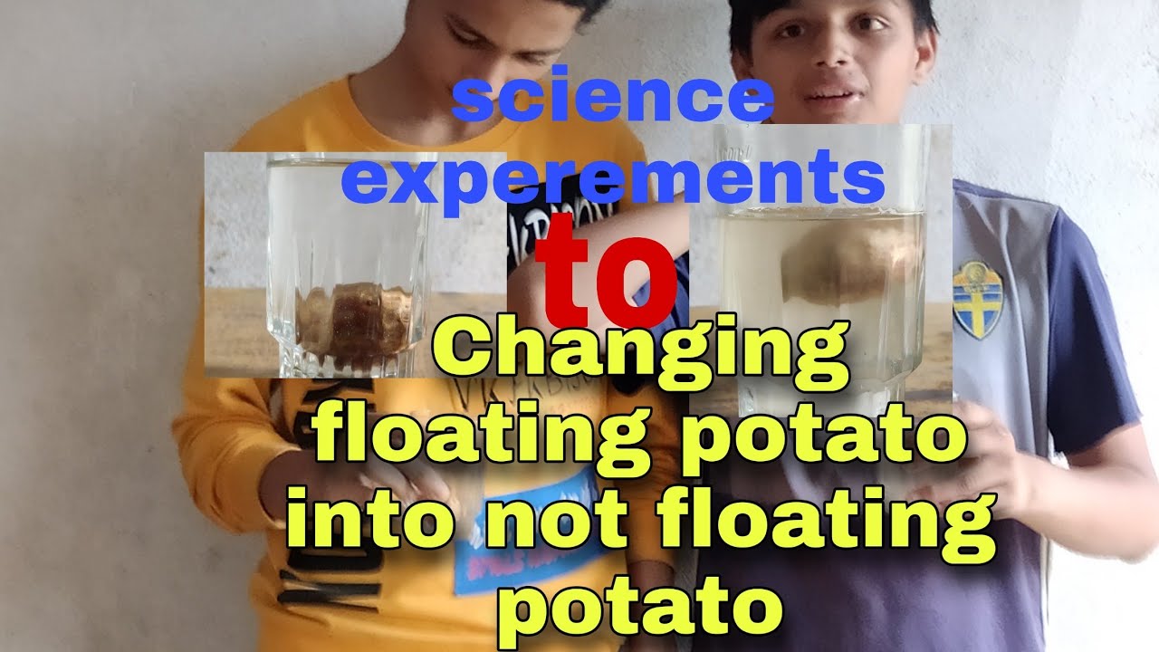Changing not floating potato into floating potato {science experiments