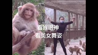 Monkeypox lustiger Affenfall #kurz Ep82 screenshot 5