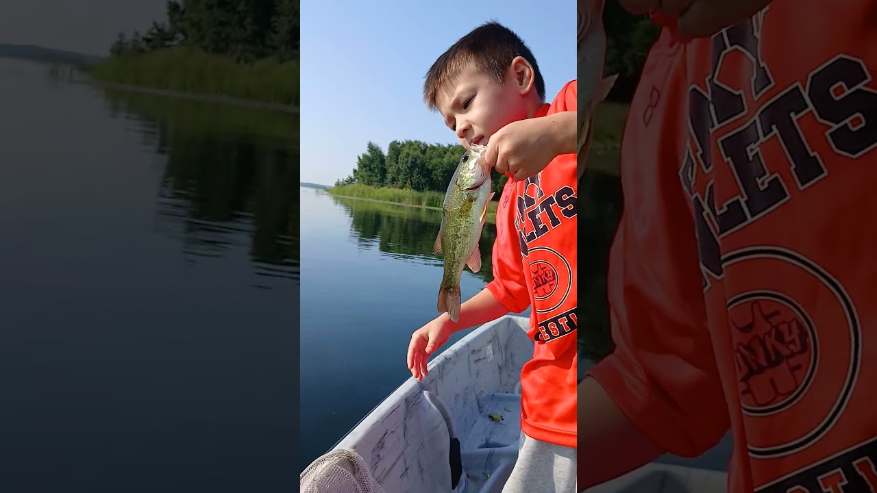 LAST FISH OF THE DAY 🐡 