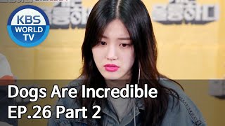 Dogs are incredible | 개는 훌륭하다 EP.26 Part 2 [SUB : ENG,CHN/2020.05.20]