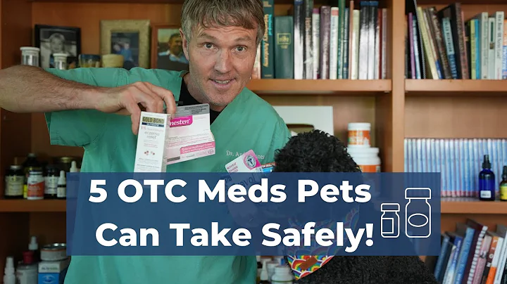Vet-Approved: 5 OTC Meds That Can Save Your Pet's Day - DayDayNews