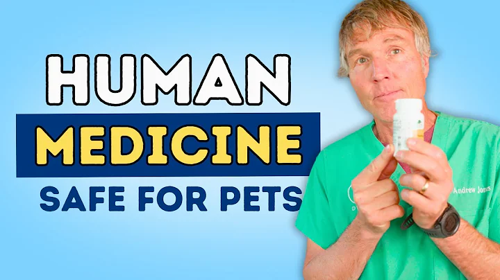 Vet-Approved: 5 OTC Meds That Can Save Your Pet's Day