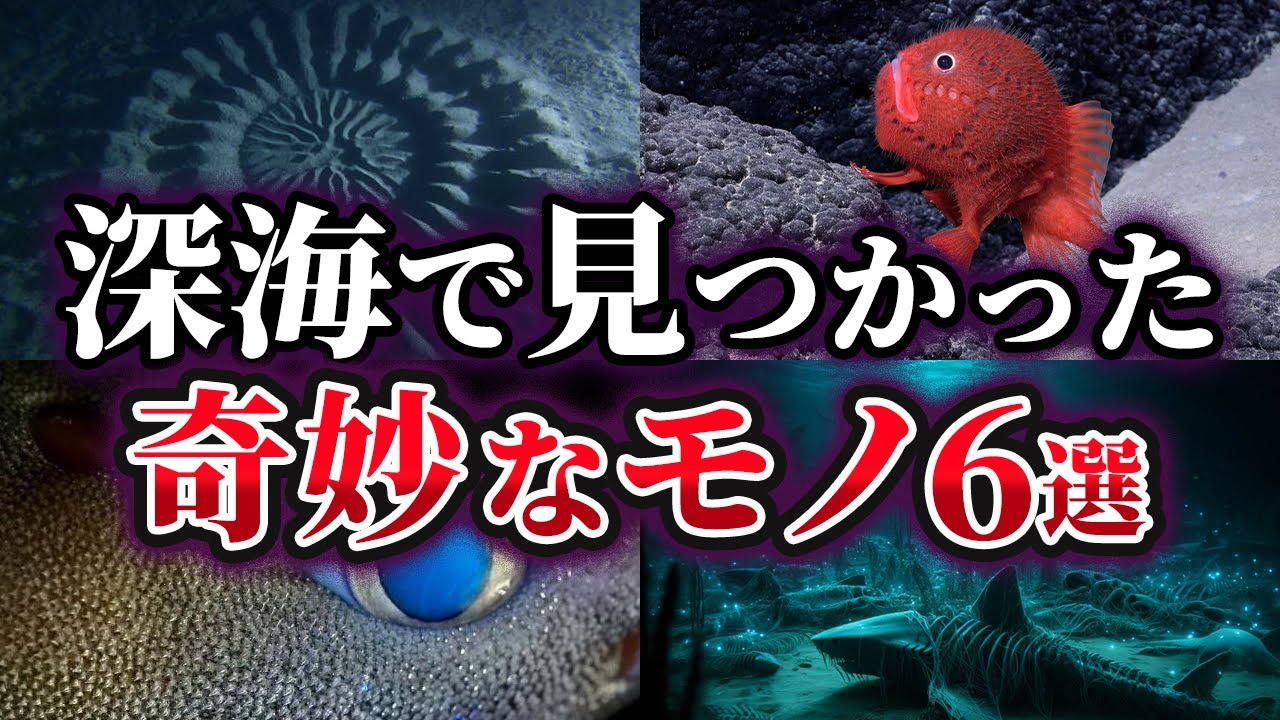 【ゆっくり解説】深海で見つかった奇妙なモノ6選