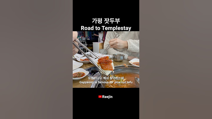 Road to Templestay | vlog Korea