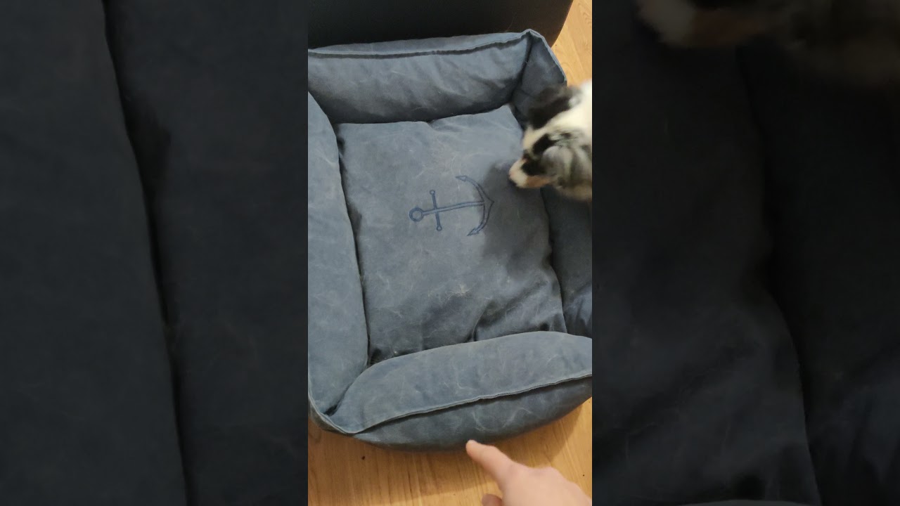 Panier bleu foncé Trixie BE NORDIC Föhr Sort - Zoomalia