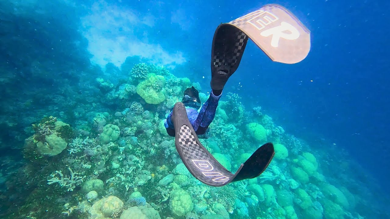 I Found Paradise! (Spearfishing Remote Pacific Islands)