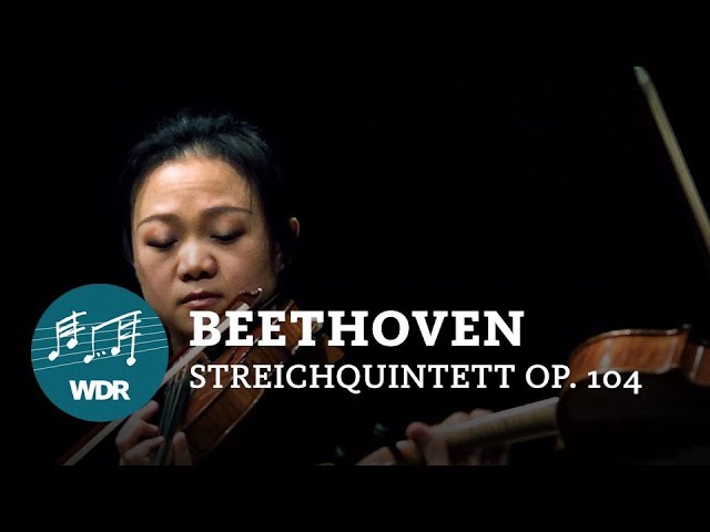 Beethoven - Quintette à cordes op.104: 1er mvt : Symph WDR Cologne