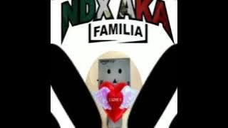NDX A.K.A - PHK (Pemberi Harapan Kecu)