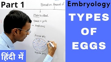 Types of Eggs in Embryology | Alecithal, Microlecithal, Mesolecithal, Polylecithal | Hindi