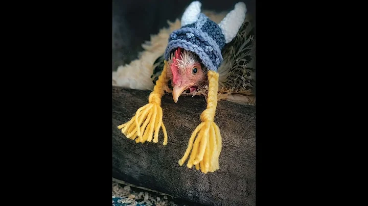 TuRkEyS