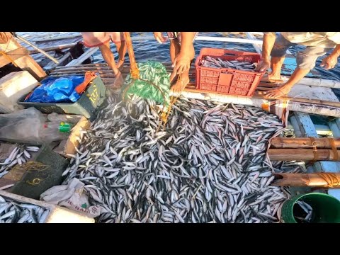 BUHAY BASNIG.PINAG PALA NG BLESSING . Jackpot sa ALUMAHAN. - YouTube