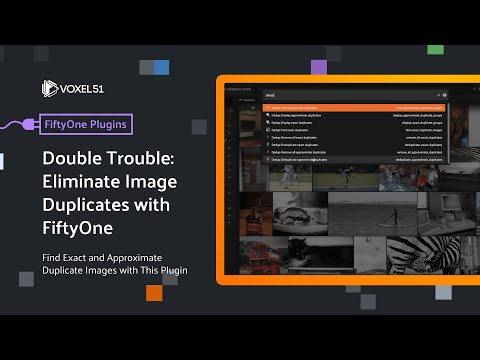 FiftyOne Computer Vision Plugins: Image Deduplication