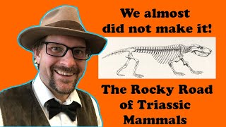 The Rocky Road for Triassic Mammals