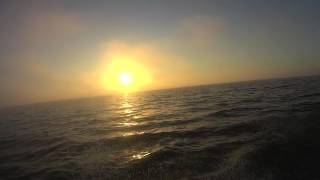 Видео Клубы тумана (автор: Дима Викторович)