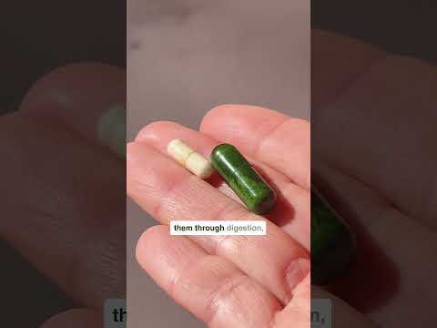 seed.com YouTube ad: DD SEE160 DS013SignsYourBloatingIsntNormalVOListicle C2 VOListicle ProblemSolution BlowingUpBalloon