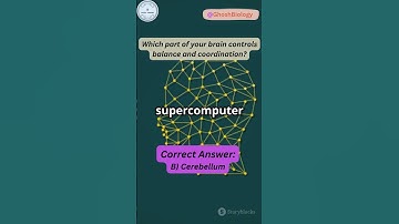 Which Brain Part Controls Your Balance? 🧠🤸 | Mind-Blowing Biology! #ghoshbiology #funscience