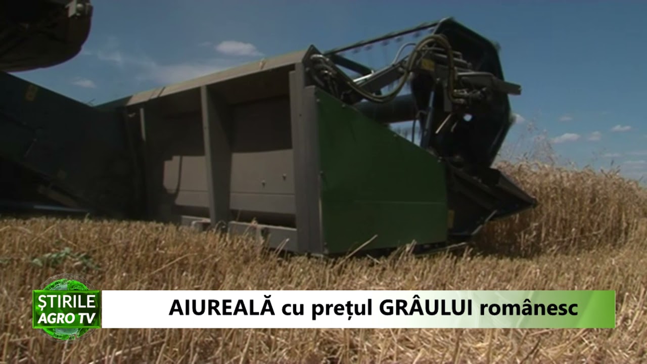 Ultimele jocuri de pe piața cerealelor - Prețuri RECORD la grâul românesc 1 Ultimele jocuri de pe piața cerealelor - Prețuri RECORD la grâul românesc YouTube player