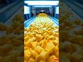 Automated Pineapple Factory Process ASMR 🍍 | Satisfying Industrial Food Production | AI Generated