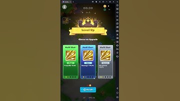 Undead Slayer: Horde Survivor hack mod game