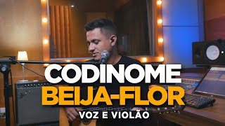 Codinome Beija-Flor - Cazuza ( Patrício Gontijo Voz e Violão )