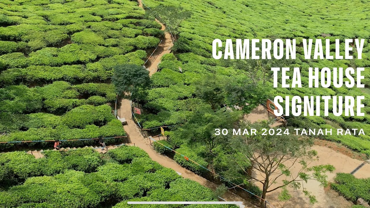 Cameron Valley The Best Tea House 2024