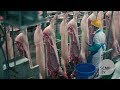 Inside China's largest meat production plant