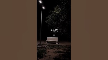 قران كريم بصوت الشيخ ناصر القطامي