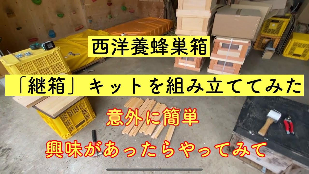 セイヨウミツバチ】西洋蜜蜂巣箱「継箱」のキットを組み立ててみたよ
