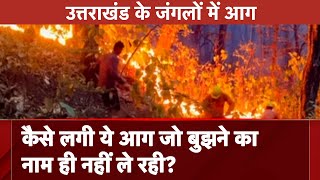 Uttarakhand Forest Fire: जंगलों में लगातार धधक रही आग के पीछे क्या है असली वजह