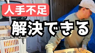 What is "Otetsutabi," the savior of labor shortages?