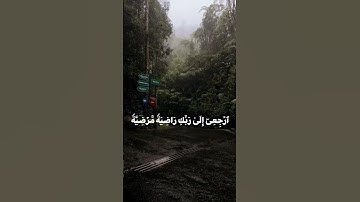 القارئ:احمد حمادي ~سورة الفجر