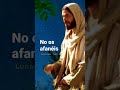 Jesús dijo: No os afanéis. #shorts #dios #jesus #videoscristianos #biblia #cristo #palabradedios