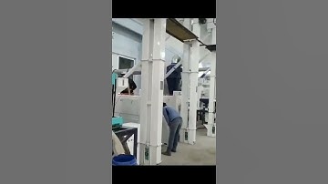 30TPH 60TPH paddy sorghum millet milling line cleaning husking milling color sorting packaging