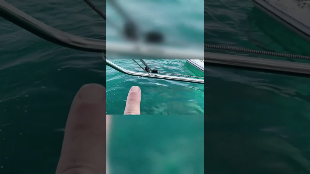 ⁣How a catamaran dinghy davit lifts your boat out of the water. #catamaran #sailing #bareboat