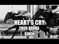 Heart's Cry 2005 Arima Kinen & Deep Impact's First Loss 🏇