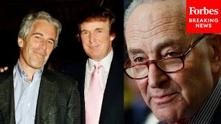 Celebrity 'What The Hell Is Donald Trump Hiding?': Schumer Slams Trump Over Partial Release Of Epstein Files Profile