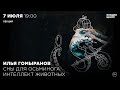 Илья Гомыранов. Сны для осьминога. Интеллект животных