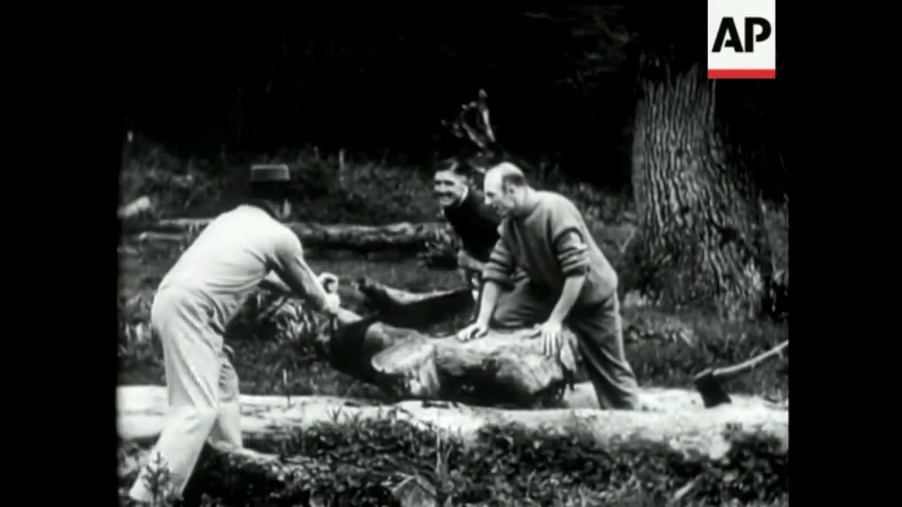 Boston Tom McMustache: Fistic Finesse & Fury