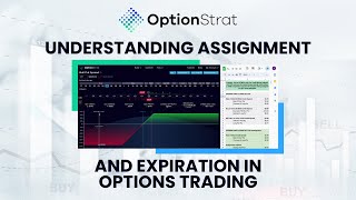 Celebrity Understanding Assignment and Expiration in Options Trading Net Worth