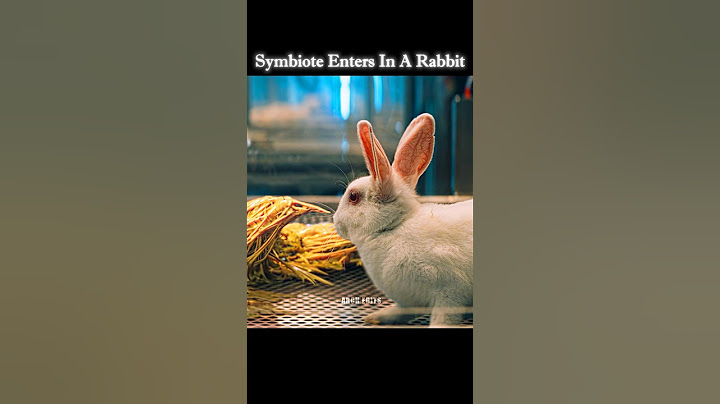 A Symbiote Entered 😱 In Rabbit 🐇#shorts #venom #symbiote