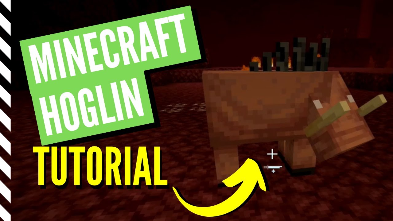 Minecraft Hoglin Tutorial Everything You Need To Know Youtube