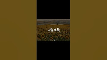 ابشرو ♥️ #قرآن #quran #اكسبلور #الشيخ_عبدالباسط_عبدالصمد #سورة_يوسف #القرآن_الكريم #fyp #viral
