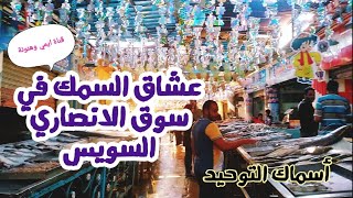 سوق الانصاري بالسويس يخطف أنظار عشاق السمك - لا تفوت هذا الفيديو - هنشوف جميع خيرات البحر الاحمر