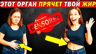 Это НЕ твоя диета! Один орган блокирует сжигание жира — и ты не догадываешься какой!"