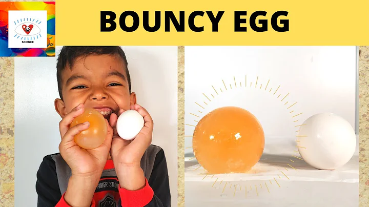 BOUNCY EGG - d.i.y fun science experiment to try at home
