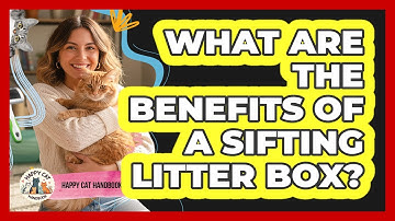 What Are The Benefits Of A Sifting Litter Box? - Happy Cat Handbook