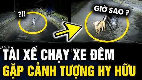 Chạy XE ĐÊM tài xế gặp cảnh tượng lạ, dân mạng khuyên NÊN QUAY ĐẦU | Tin 3 Phút