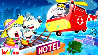 Flooded Roads๐ง Wolfoo Shows Safety Tips for Kids in Natural Disasters More|Wolfoo Channel