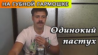 Одинокий пастух на губной гармошке