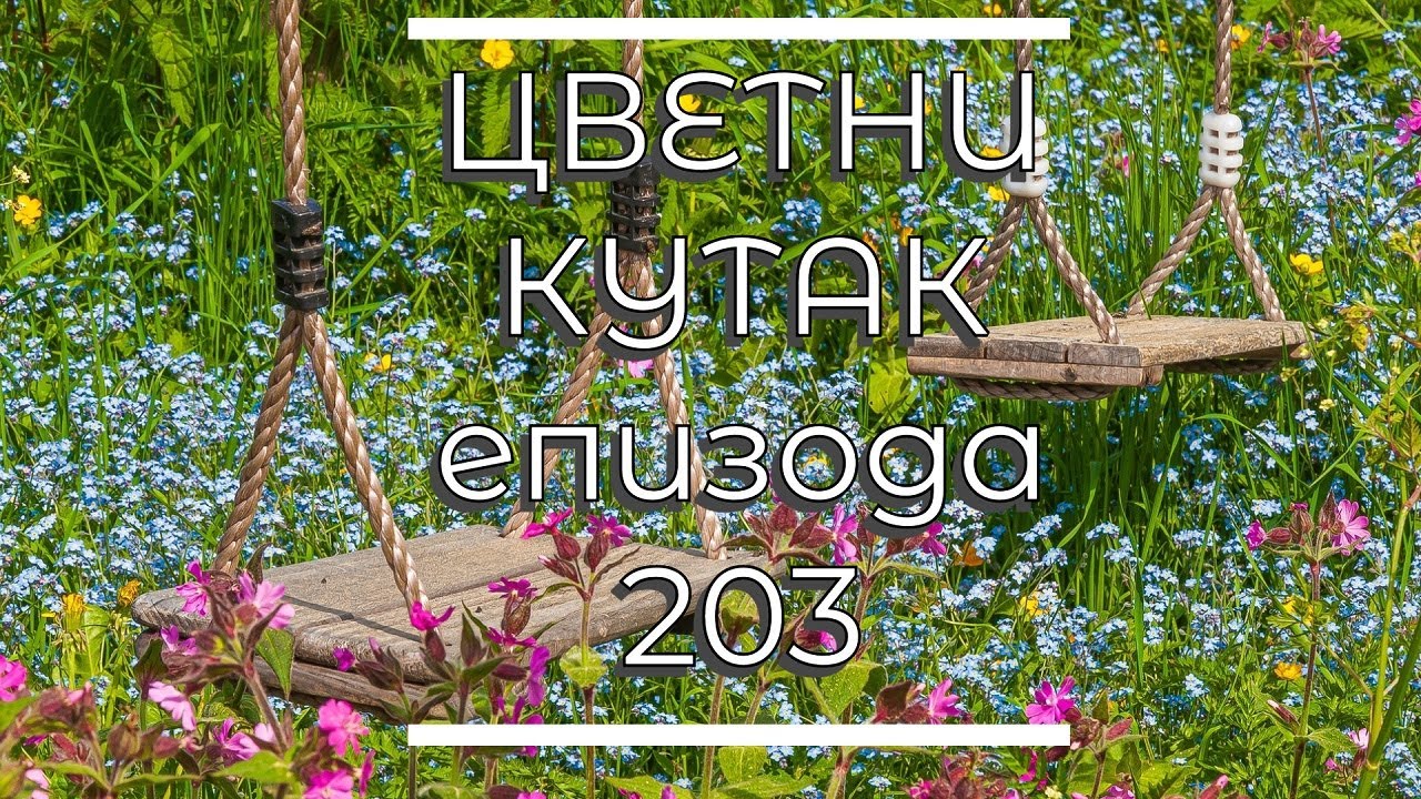 Cvetni kutak ep. 203 28.09.2023. Liriopa, agava, Zlatomir Kozlovački, Dvorska bašta Sremski Karlovci